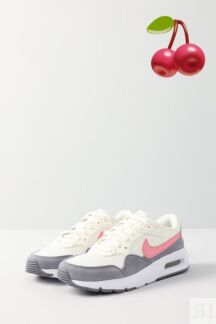 Кроссовки Air Max SC Nike