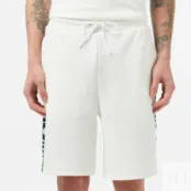Мужские шорты Lacoste  из эластичного хлопка фото 4