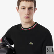 Мужской свитер Lacoste из органического хлопка фото 3