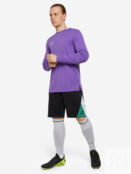 Лонгслив мужской Demix Goalkeeper, Фиолетовый 122772DMX-V2 фото 3