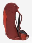 Рюкзак Deuter AC Lite 24 л, Красный 3420824D2W-9507 фото 2