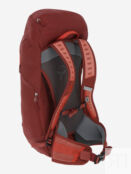 Рюкзак Deuter AC Lite 24 л, Красный 3420824D2W-9507 фото 3
