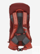 Рюкзак Deuter AC Lite 24 л, Красный 3420824D2W-9507 фото 4