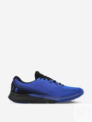 Кроссовки мужские Under Armour Charged Rogue 4, Синий 3026998U0F-400 фото 5