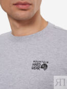 Лонгслив мужской Mountain Hardwear Back Logo, Серый 2100571MHW-057 фото 5