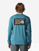 Лонгслив мужской Mountain Hardwear Box Logo, Голубой 2100601MHW-458 фото 3