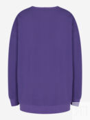 Свитшот женский Demix, Plus Size, Фиолетовый 129619DMX-P4 фото 2
