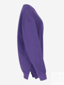 Свитшот женский Demix, Plus Size, Фиолетовый 129619DMX-P4 фото 3