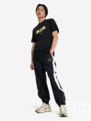 Футболка мужская Nike, Черный HM0185N06-010 фото 4