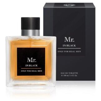 Christine Lavoisier Parfums туалетная вода Mr. In Black, 100 мл, 425 г Chri