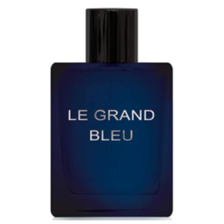 Dilis Parfum туалетная вода Le Grand Bleu, 100 мл, 385 г Dilis Parfum
