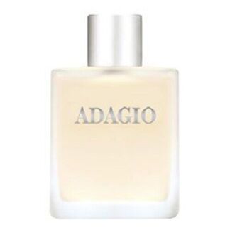 Dilis Parfum туалетная вода Adagio, 100 мл, 350 г Dilis Parfum