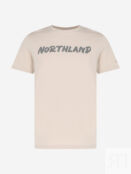 Футболка мужская Northland, Бежевый 134695N16-T1 фото 5