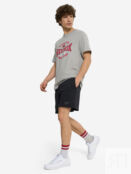 Футболка мужская Reebok Gs Hs Tradition, Серый 100218840R00-. фото 4