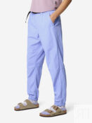 Брюки женские Mountain Hardwear Stryder Jogger, Фиолетовый 2112811MHW-536 фото 4