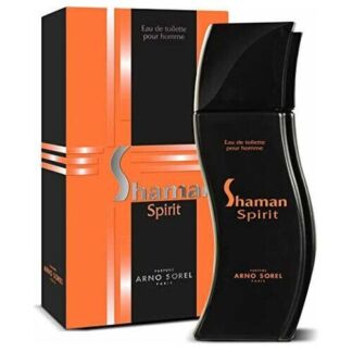 Arno Sorel туалетная вода Shaman Spirit, 100 мл, 400 г Arno Sorel