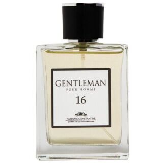 Parfums Constantine туалетная вода Gentleman №16, 100 мл, 380 г Parfums Con