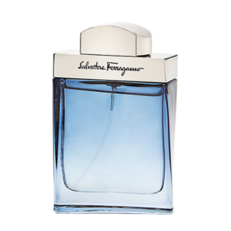Salvatore Ferragamo туалетная вода Subtil pour Homme, 30 мл, 30 г Salvatore