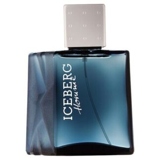 Iceberg туалетная вода Iceberg Homme, 50 мл, 190 г Iceberg