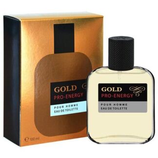 Туалетная вода мужская Pro-Energy Gold, 100 мл Today Parfum