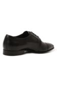 Кожаные дерби Stefano Ricci US02CG5172/VS фото 5
