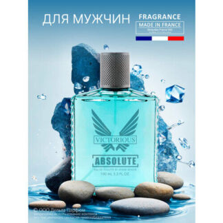 Туалетная вода мужская Absolute Victorious, 100 мл Today Parfum
