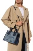 Сумка-тоут Cabas Ete Lancel A12388 фото 2