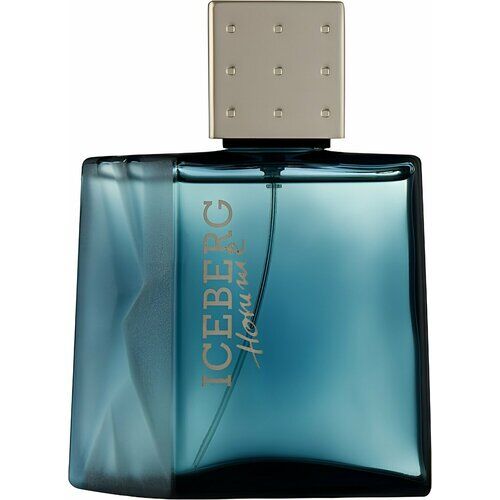 Iceberg Homme Туалетная вода 50 мл 50 Iceberg фото 1
