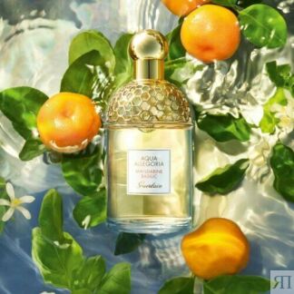 Туалетная вода (edT) Guerlain AQUA ALLEGORIA MANDARINE BASILIC женская 1мл